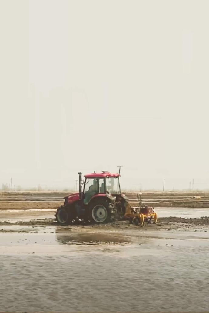 Paddy Field Work