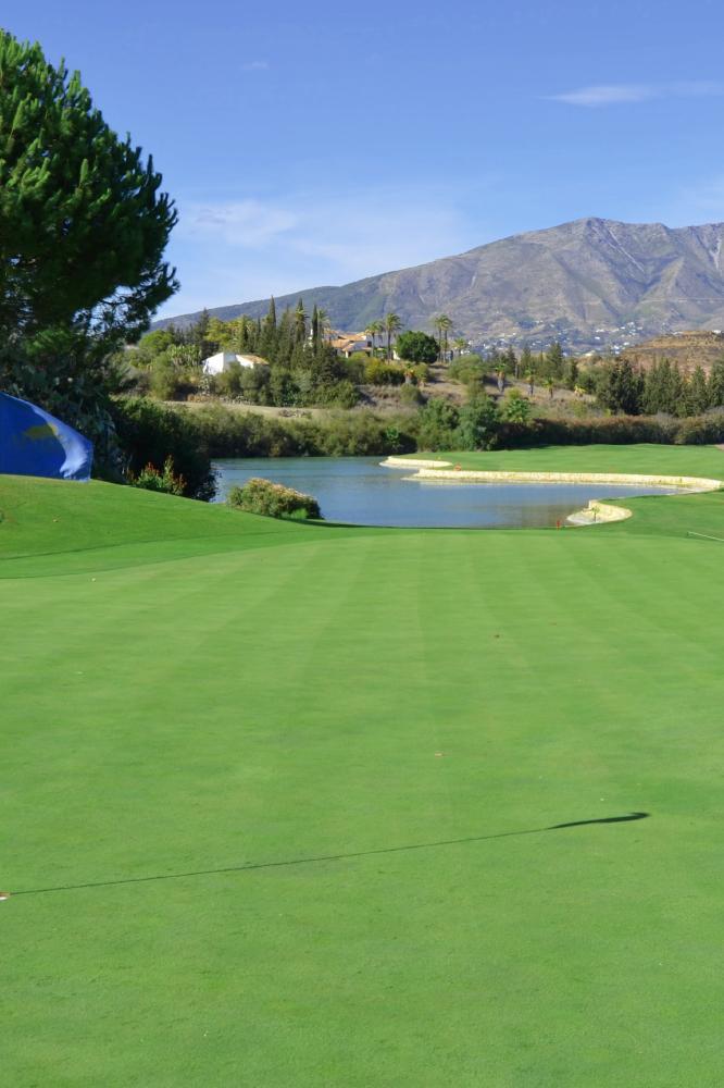 Golf Greens